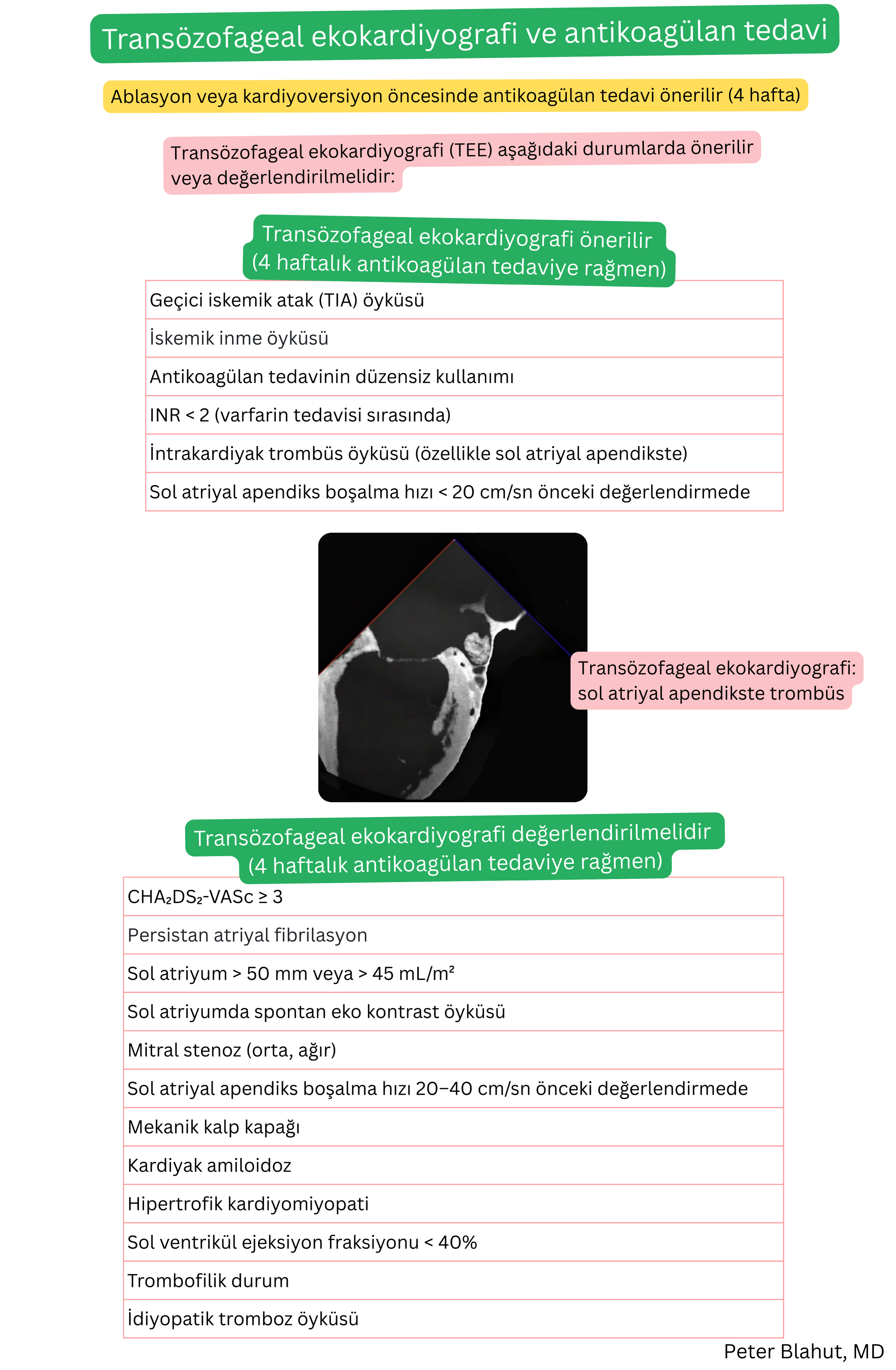 Atriyal fibrilasyonda dört haftalık antikoagülasyona rağmen kardiyoversiyon veya ablasyon öncesi transözofageal ekokardiyografi endikasyonlarının genel görünümü; yüksek riskli klinik durumlar ve sol atriyal apendikste trombüs saptanmasını içerir.
