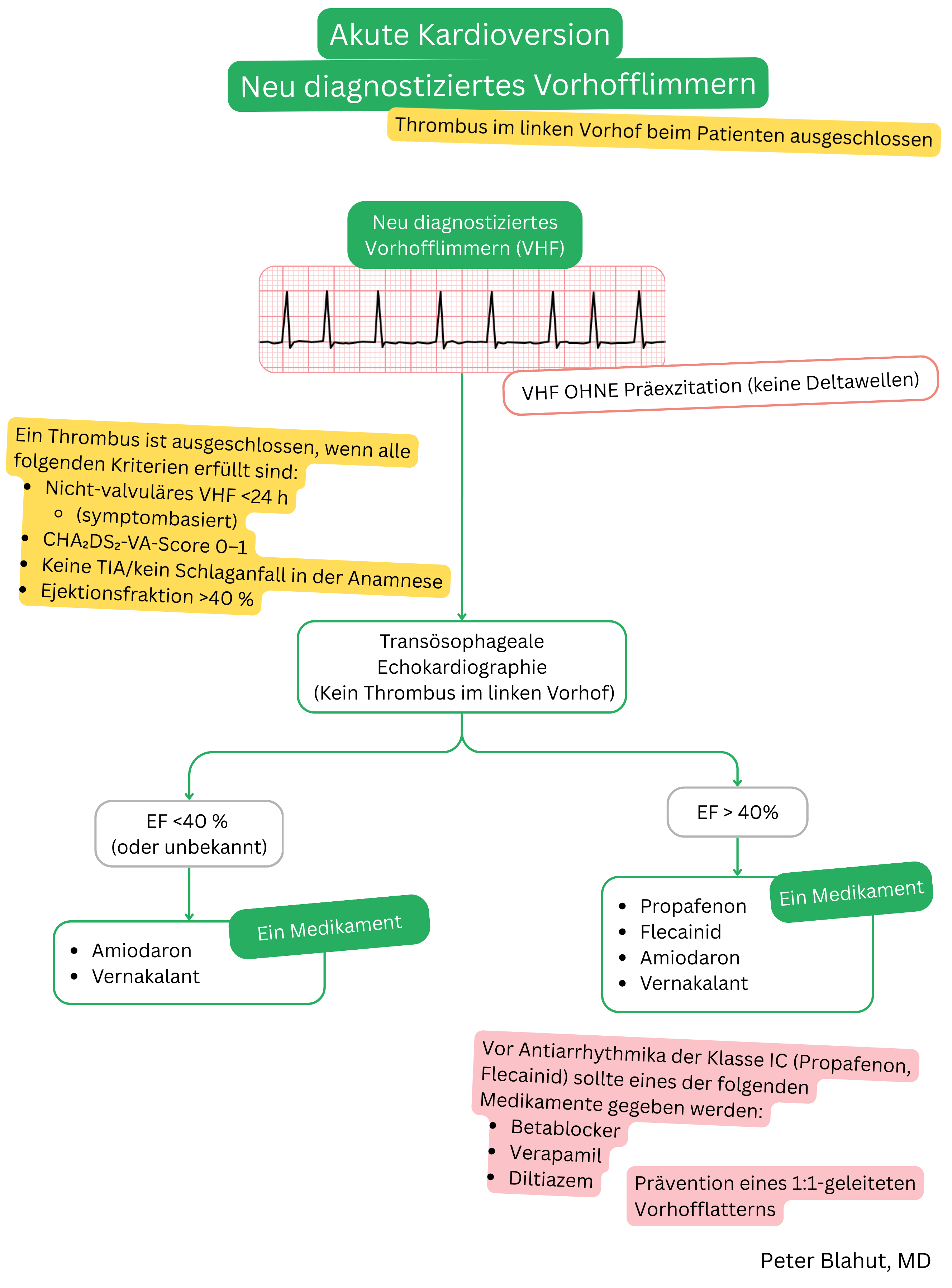 Algorithmus zur akuten Kardioversion bei neu diagnostiziertem Vorhofflimmern nach Ausschluss eines Thrombus im linken Vorhof mit Auswahl des Antiarrhythmikums gemäß linksventrikulärer Ejektionsfraktion.