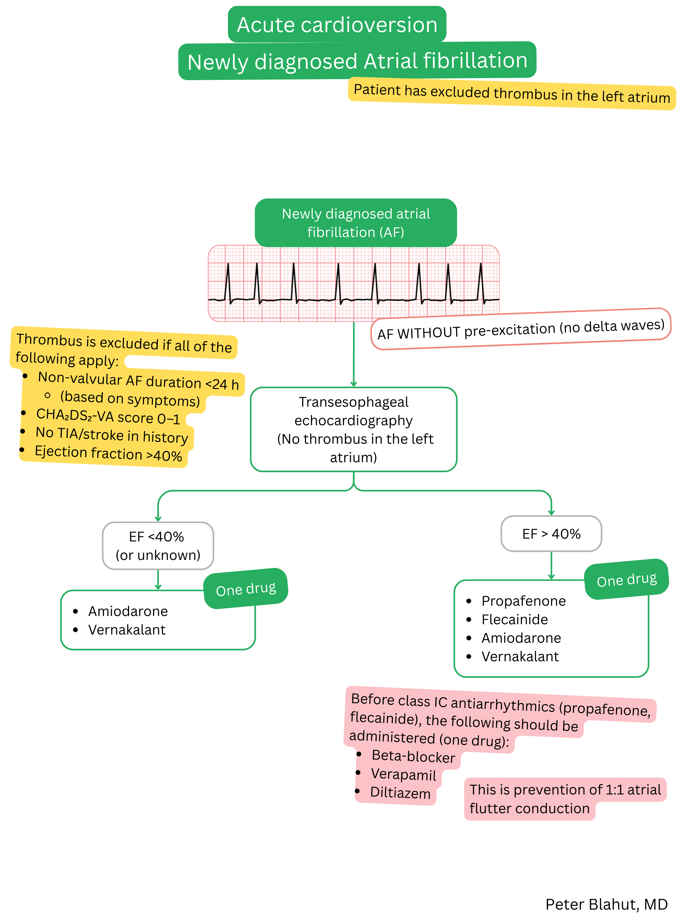 Algorithm for acute cardioversion in newly diagnosed atrial fibrillation after exclusion of left atrial thrombus with selection of antiarrhythmic therapy according to left ventricular ejection fraction.