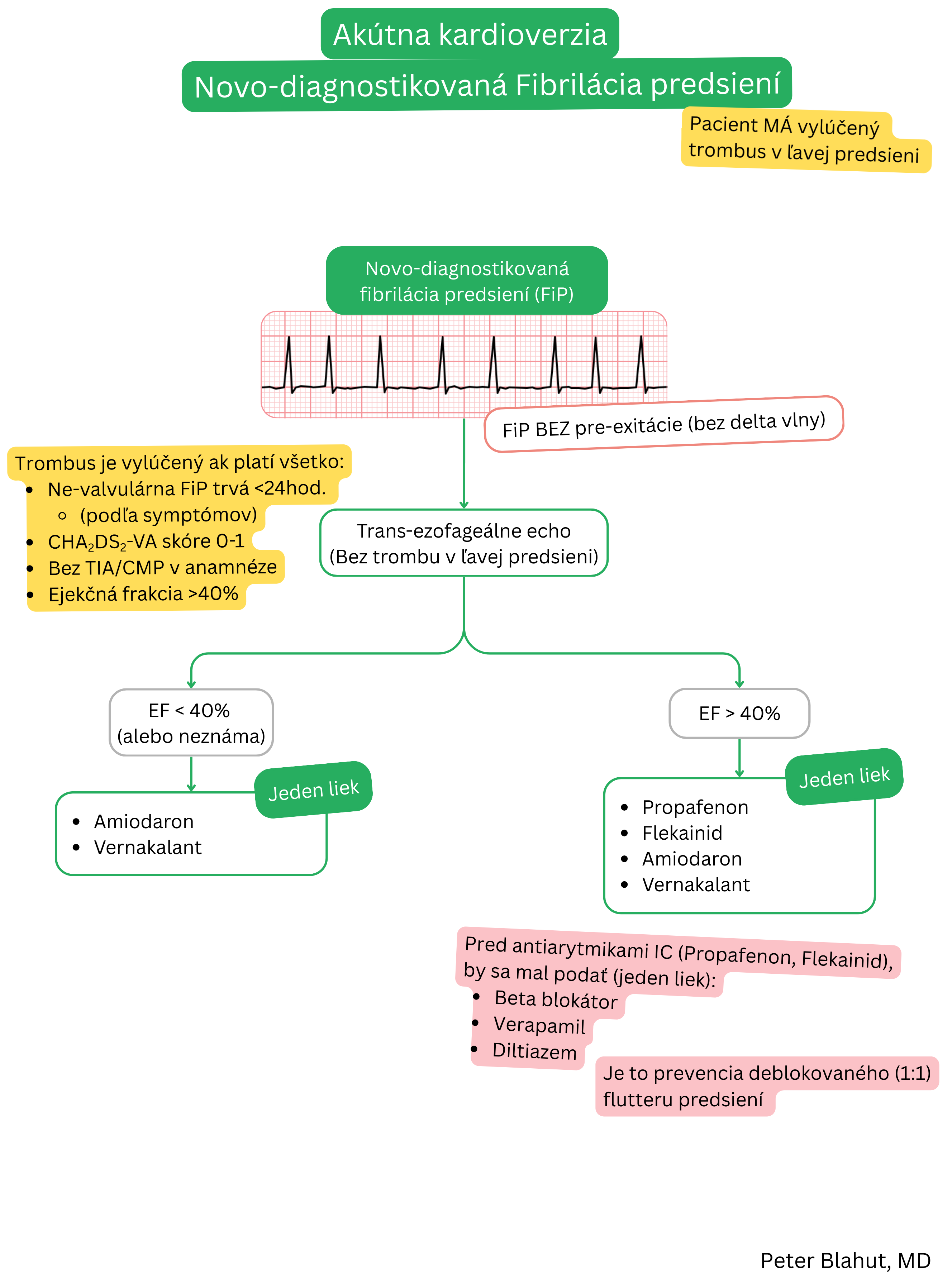 Algoritmus akútnej kardioverzie pri novodiagnostikovanej fibrilácii predsiení po vylúčení trombu v ľavej predsieni s výberom antiarytmika podľa ejekčnej frakcie ľavej komory.