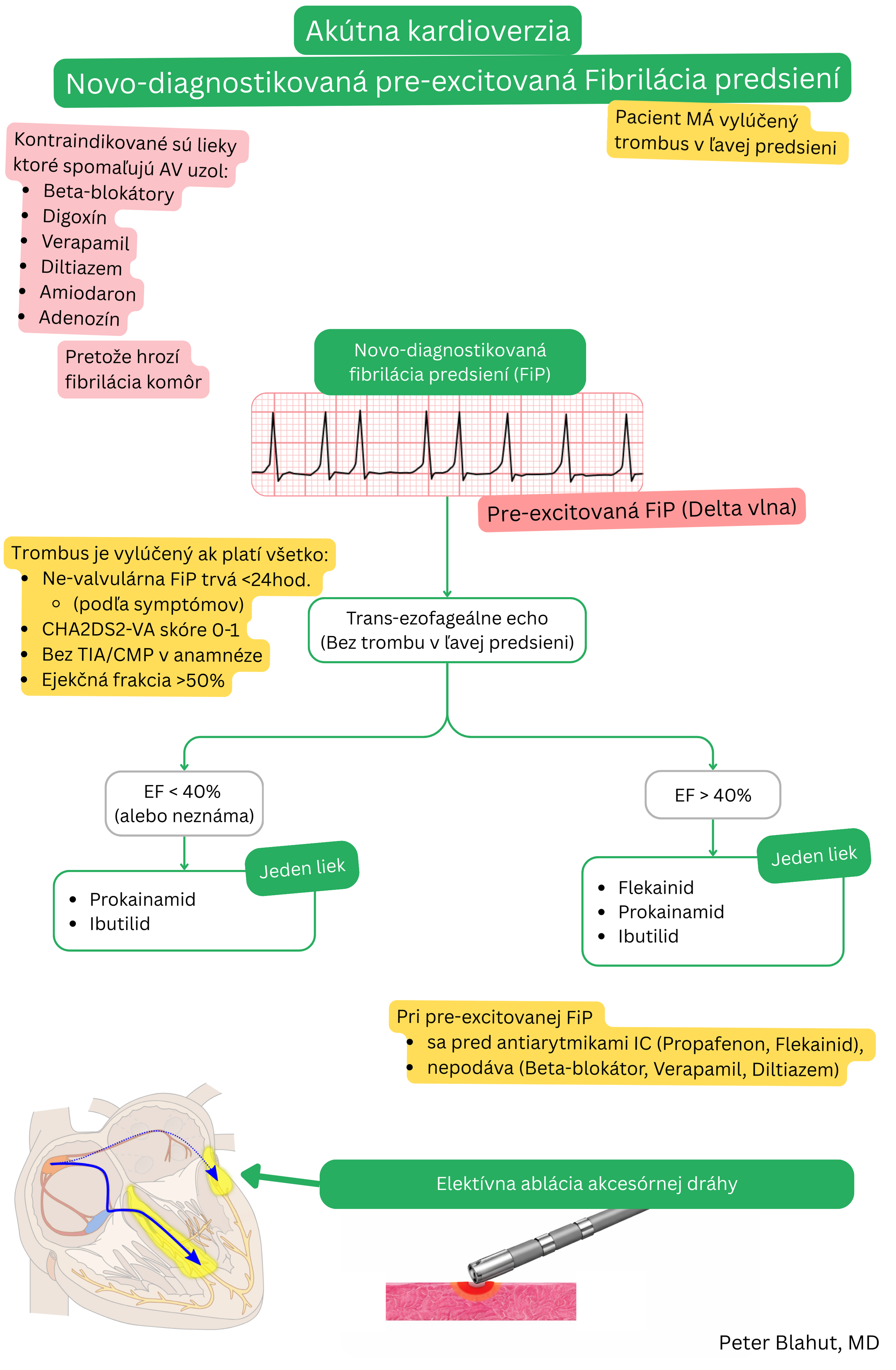Algoritmus akútnej kardioverzie pri novodiagnostikovanej preexcitovanej fibrilácii predsiení po vylúčení trombu v ľavej predsieni s kontraindikáciou AV-nodálnych liekov a odporúčaním antiarytmík alebo ablácie akcesórnej dráhy.