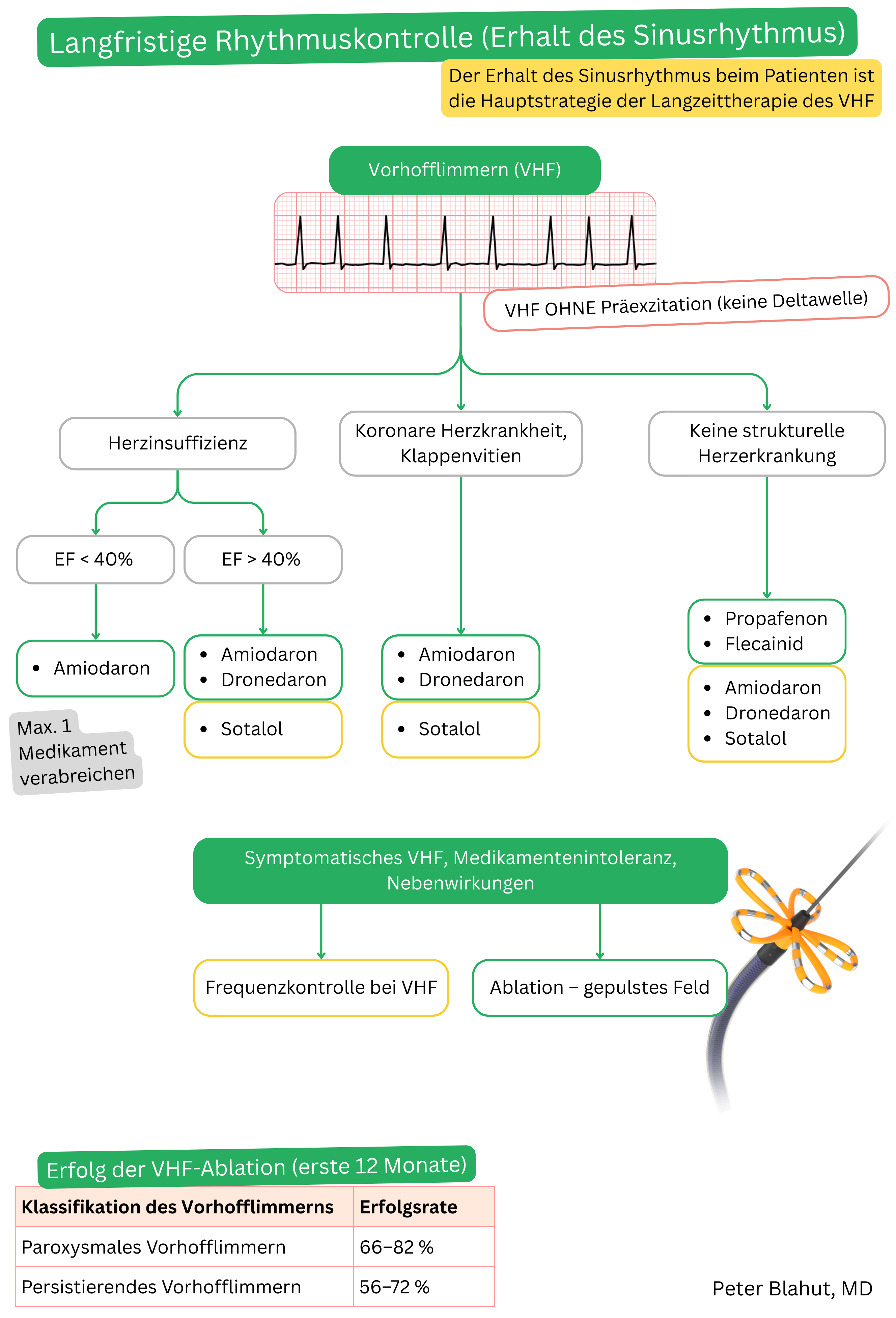 Algorithmus zur langfristigen Rhythmuskontrolle bei Vorhofflimmern ohne Präexzitation mit Auswahl des Antiarrhythmikums je nach Vorliegen von Herzinsuffizienz oder struktureller Herzerkrankung sowie Angabe der Erfolgsraten der Katheterablation.