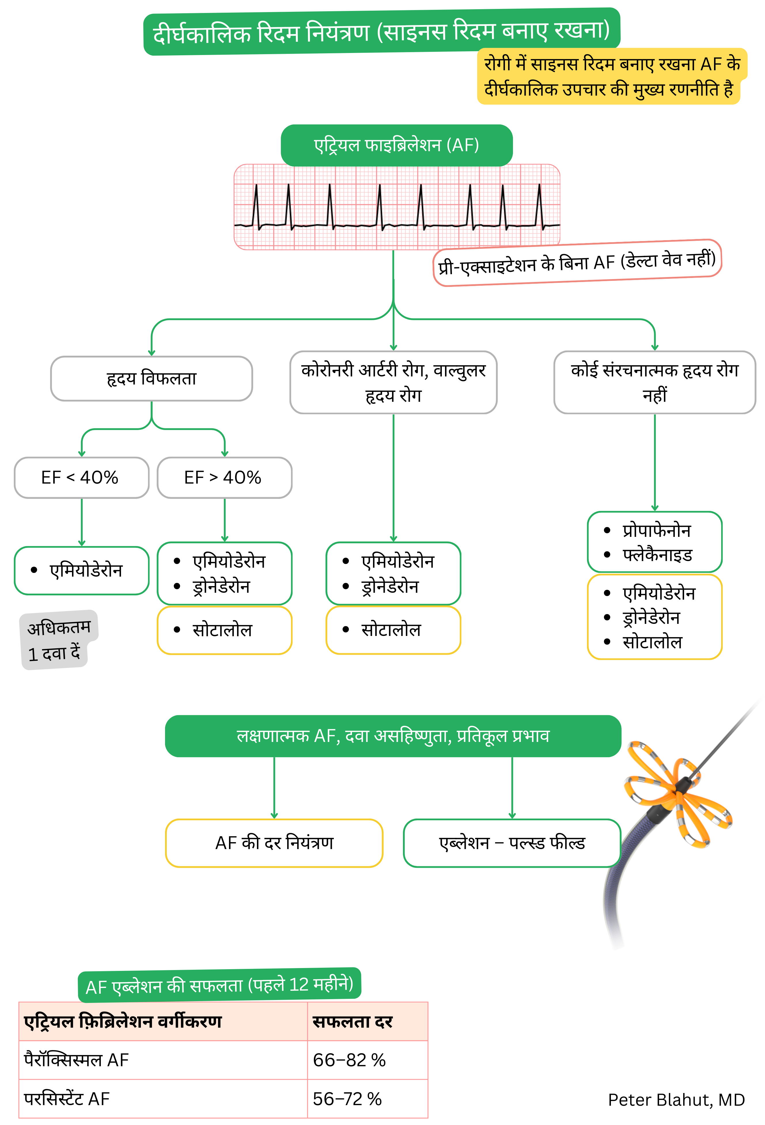 प्रीएक्साइटेशन के बिना एट्रियल फिब्रिलेशन में दीर्घकालिक रिद्म नियंत्रण का एल्गोरिदम, जिसमें हृदय विफलता या संरचनात्मक हृदय रोग की उपस्थिति के अनुसार एंटीअरिद्मिक का चयन तथा कैथेटर एब्लेशन की सफलता दर शामिल है।