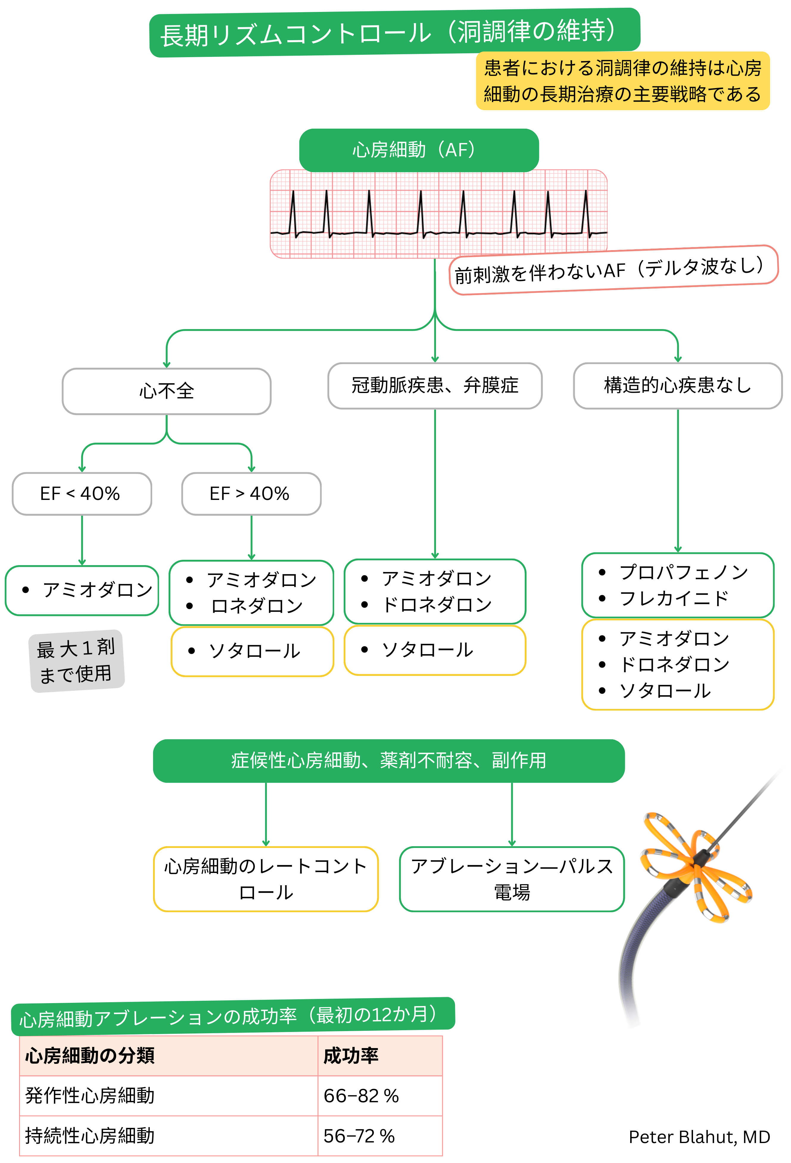 前興奮を伴わない心房細動の長期リズムコントロールアルゴリズムで、心不全または構造的心疾患の有無に基づく抗不整脈薬選択およびカテーテルアブレーションの成功率を含む。