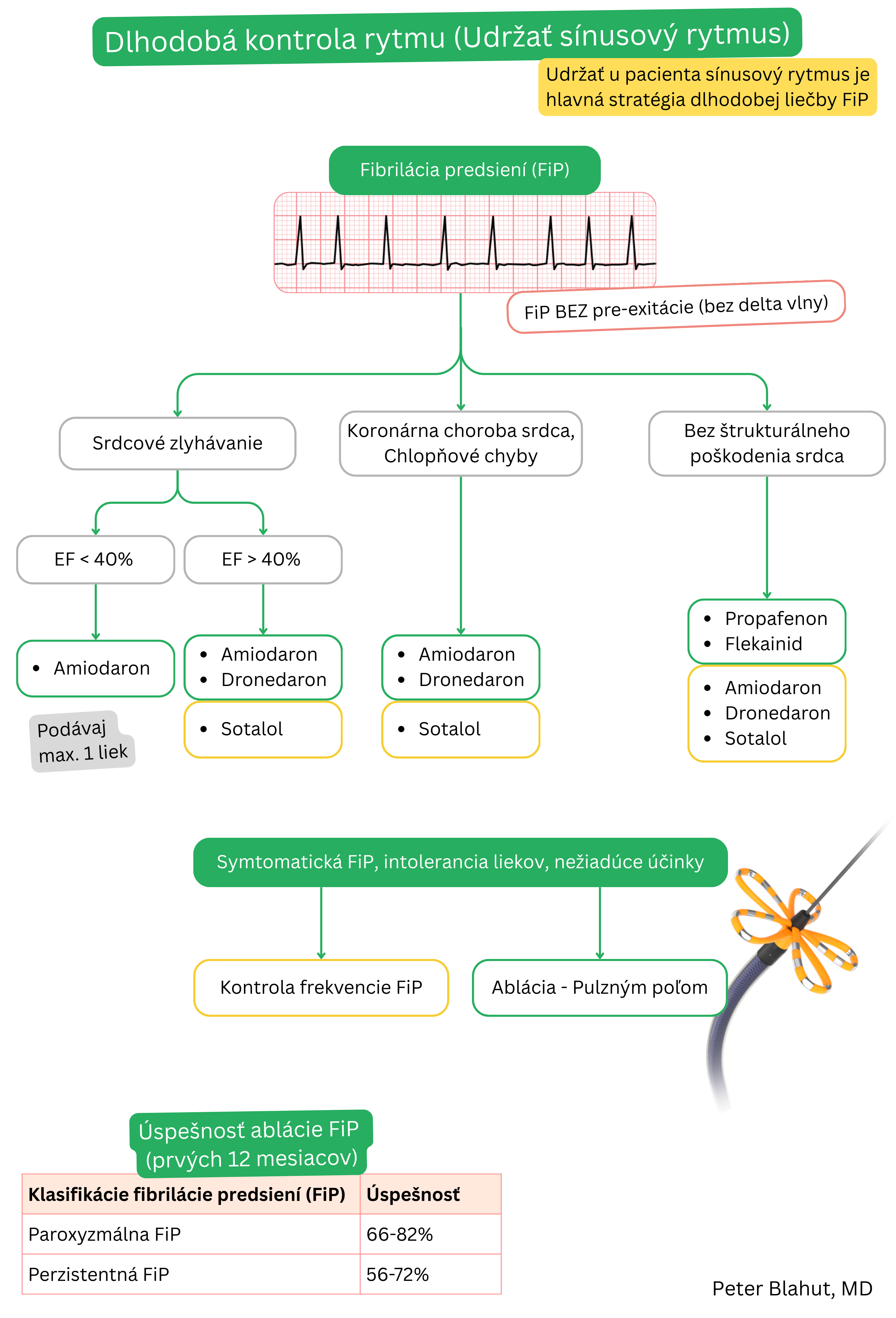 Algoritmus dlhodobej kontroly rytmu pri fibrilácii predsiení bez preexcitácie s výberom antiarytmika podľa prítomnosti srdcového zlyhávania alebo štrukturálneho ochorenia srdca a s uvedením úspešnosti katétrovej ablácie.