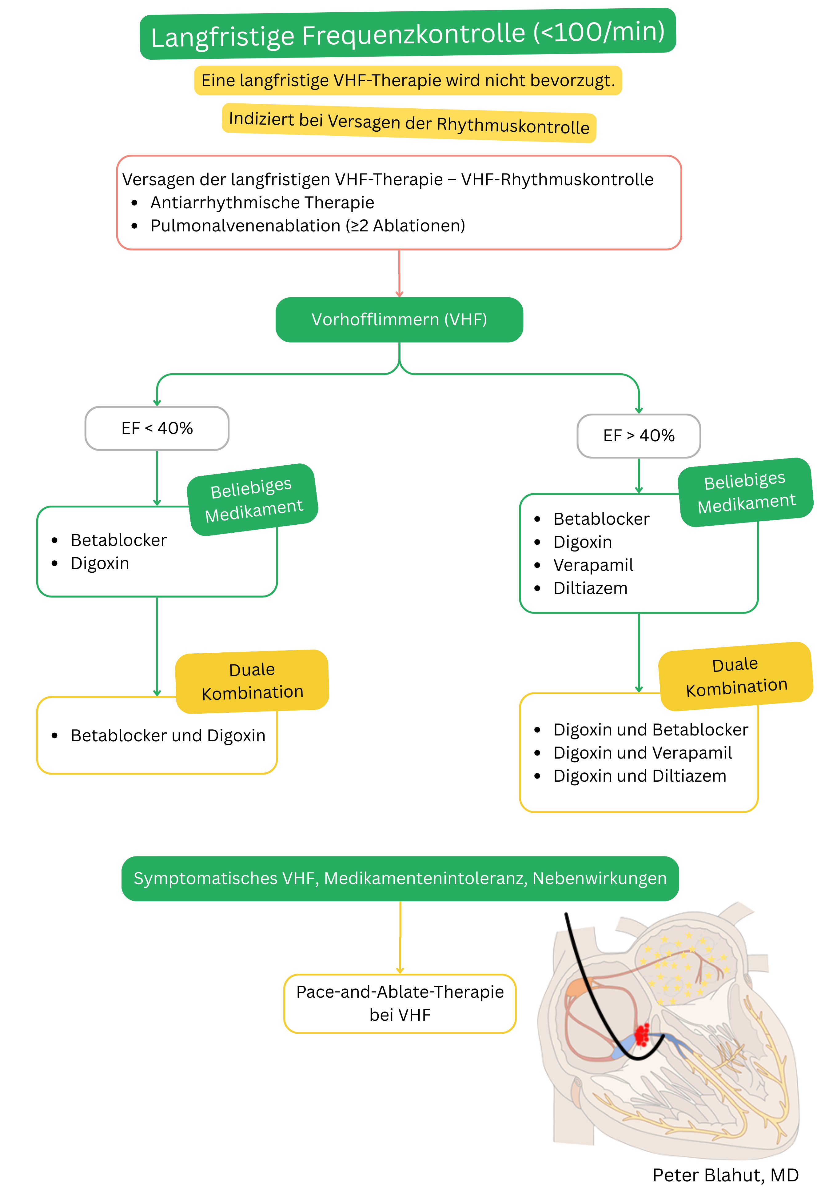 Algorithmus zur langfristigen Frequenzkontrolle bei Vorhofflimmern mit Auswahl der Medikamente entsprechend der linksventrikulären Ejektionsfraktion, Option einer Kombinationstherapie und Indikation für eine Pace-and-Ablate-Strategie bei Therapieversagen.