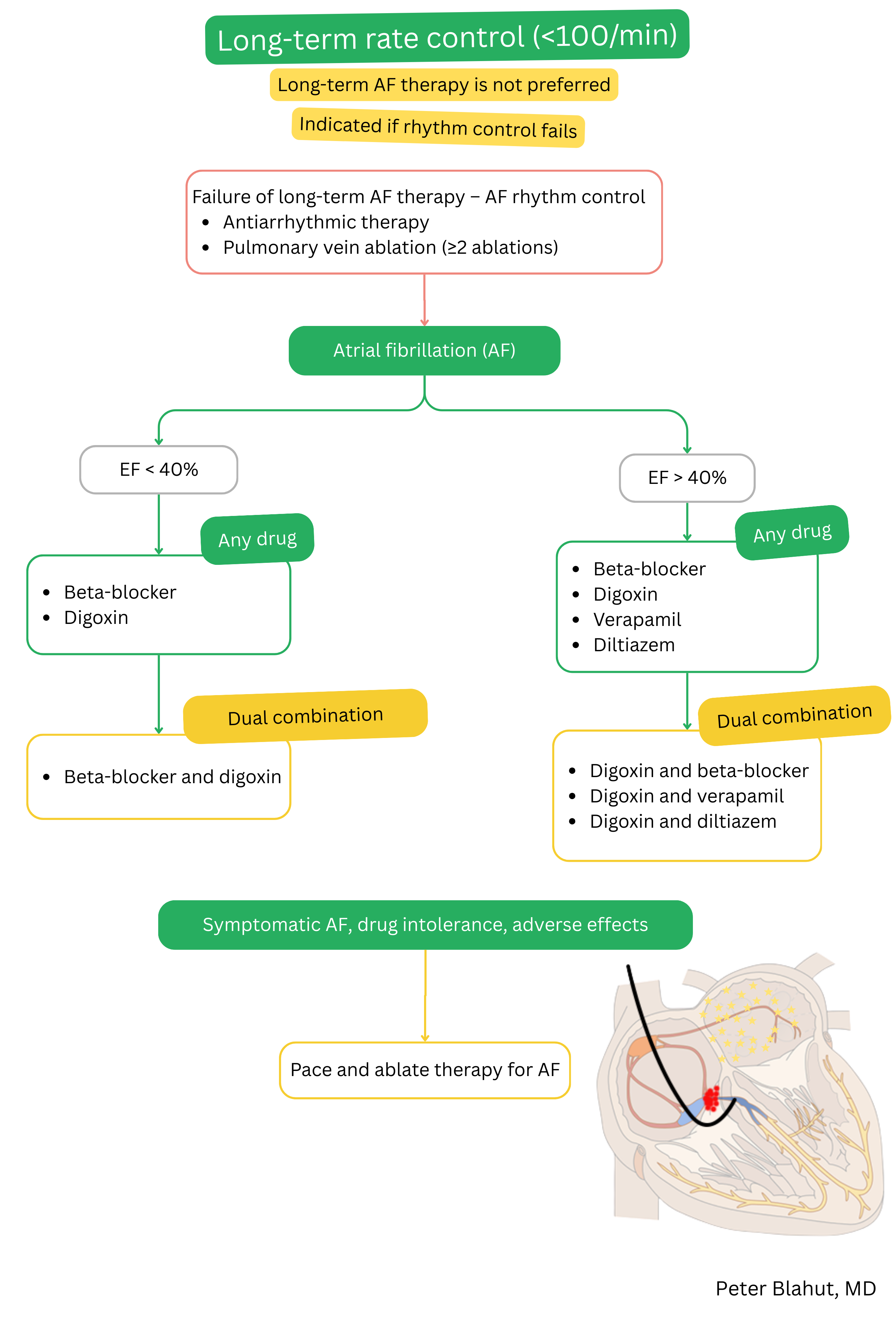 Algorithm for long-term rate control in atrial fibrillation with drug selection according to left ventricular ejection fraction, option of combination therapy and indication for a pace-and-ablate strategy in case of treatment failure.