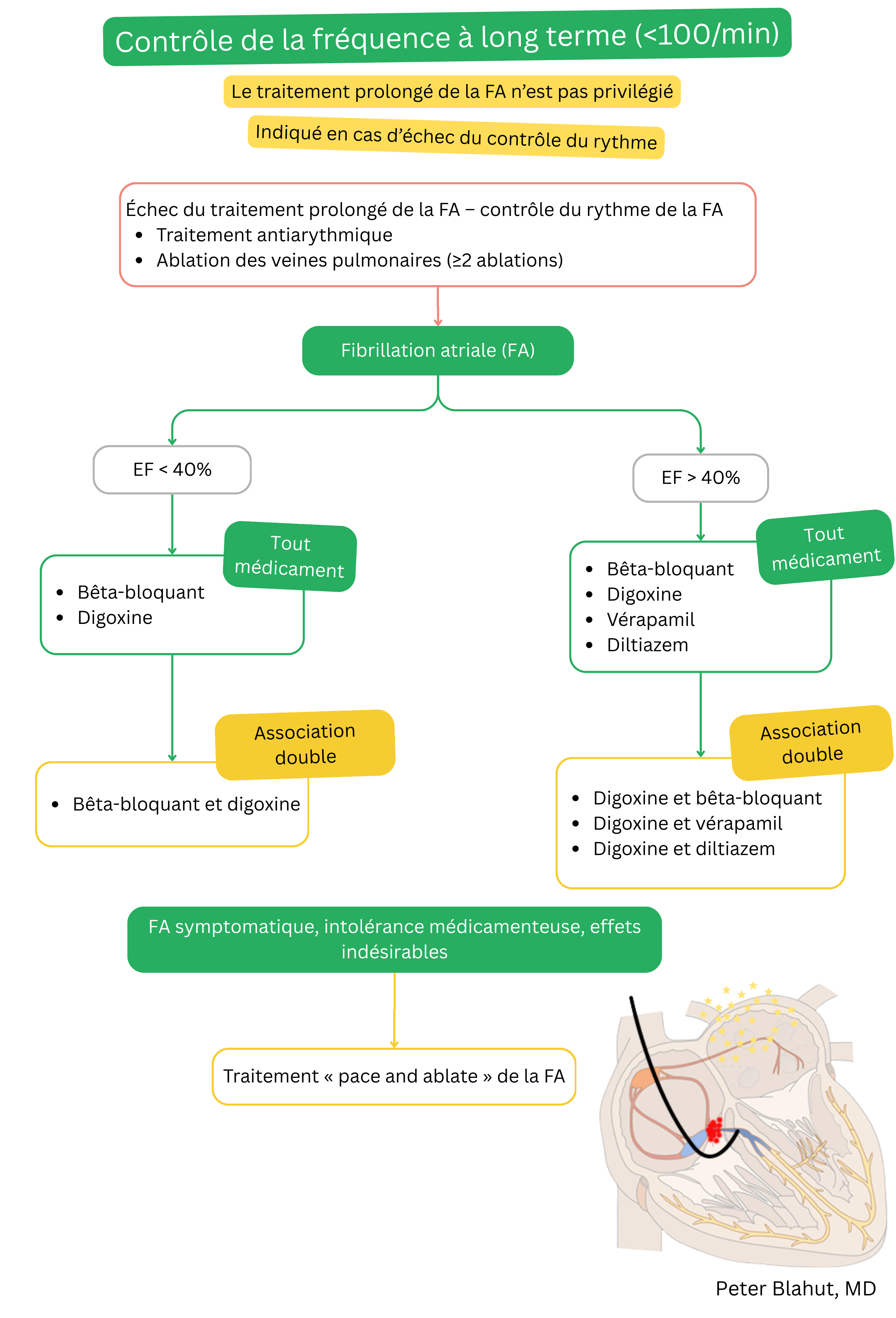 Algorithme de contrôle à long terme de la fréquence dans la fibrillation auriculaire avec choix des médicaments selon la fraction d’éjection ventriculaire gauche, possibilité de traitement combiné et indication d’une stratégie pace and ablate en cas d’échec thérapeutique.
