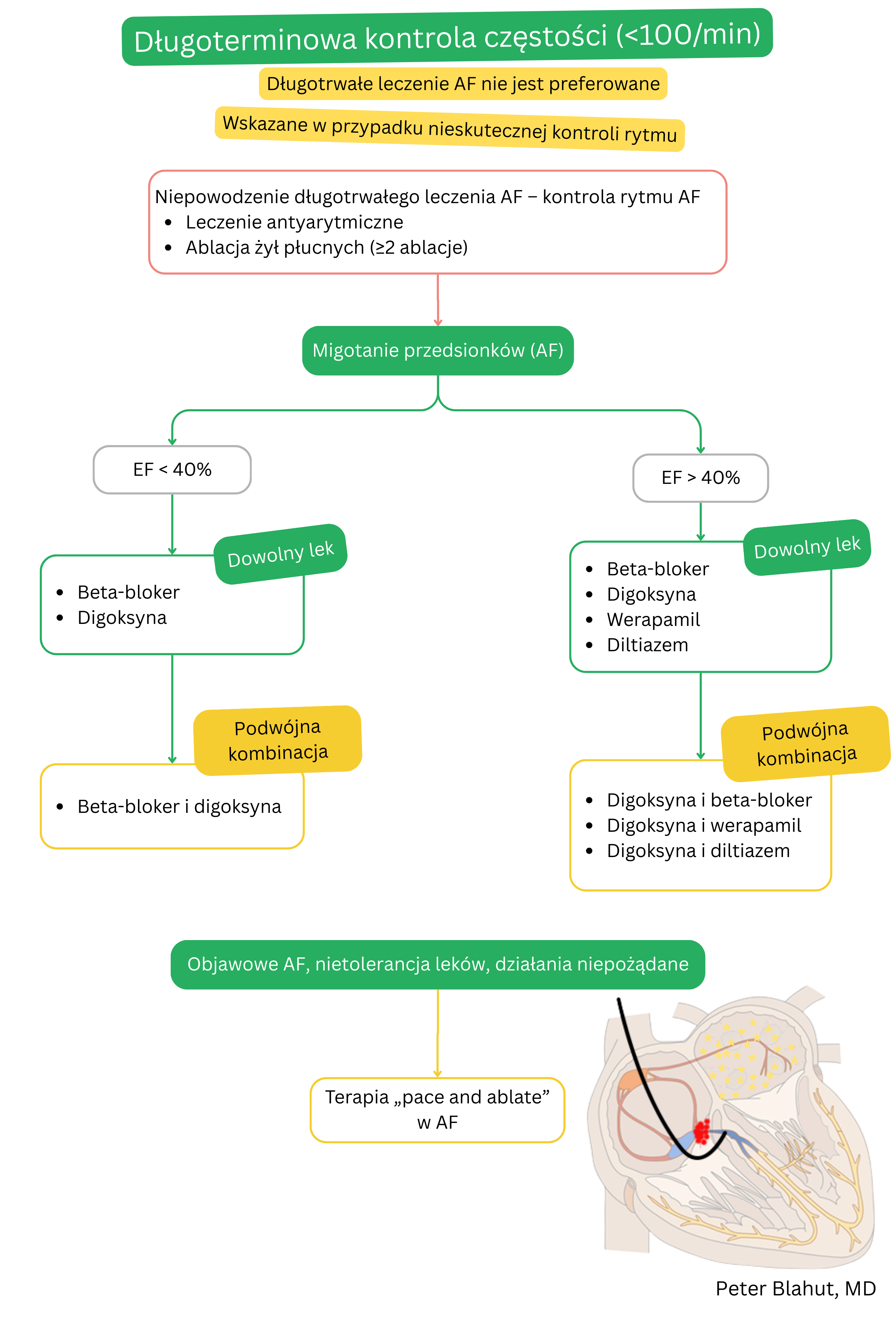 Algorytm długoterminowej kontroli częstości rytmu w migotaniu przedsionków z doborem leków zależnie od frakcji wyrzutowej lewej komory, możliwością terapii skojarzonej oraz wskazaniem do strategii pace and ablate w przypadku niepowodzenia leczenia.
