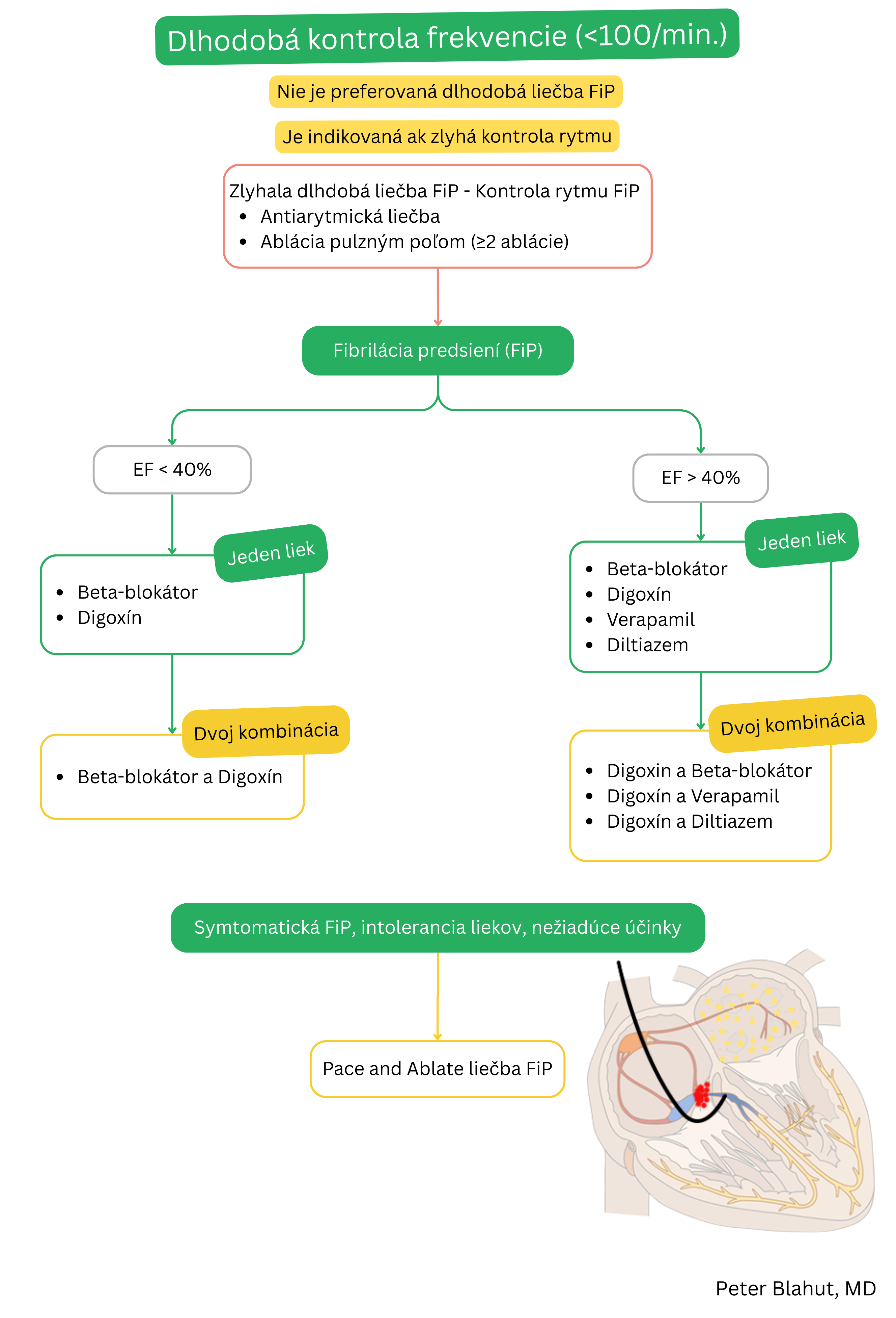 Algoritmus dlhodobej kontroly frekvencie pri fibrilácii predsiení s výberom liekov podľa ejekčnej frakcie ľavej komory, možnosťou kombinačnej terapie a indikáciou stratégie pace and ablate pri zlyhaní liečby.
