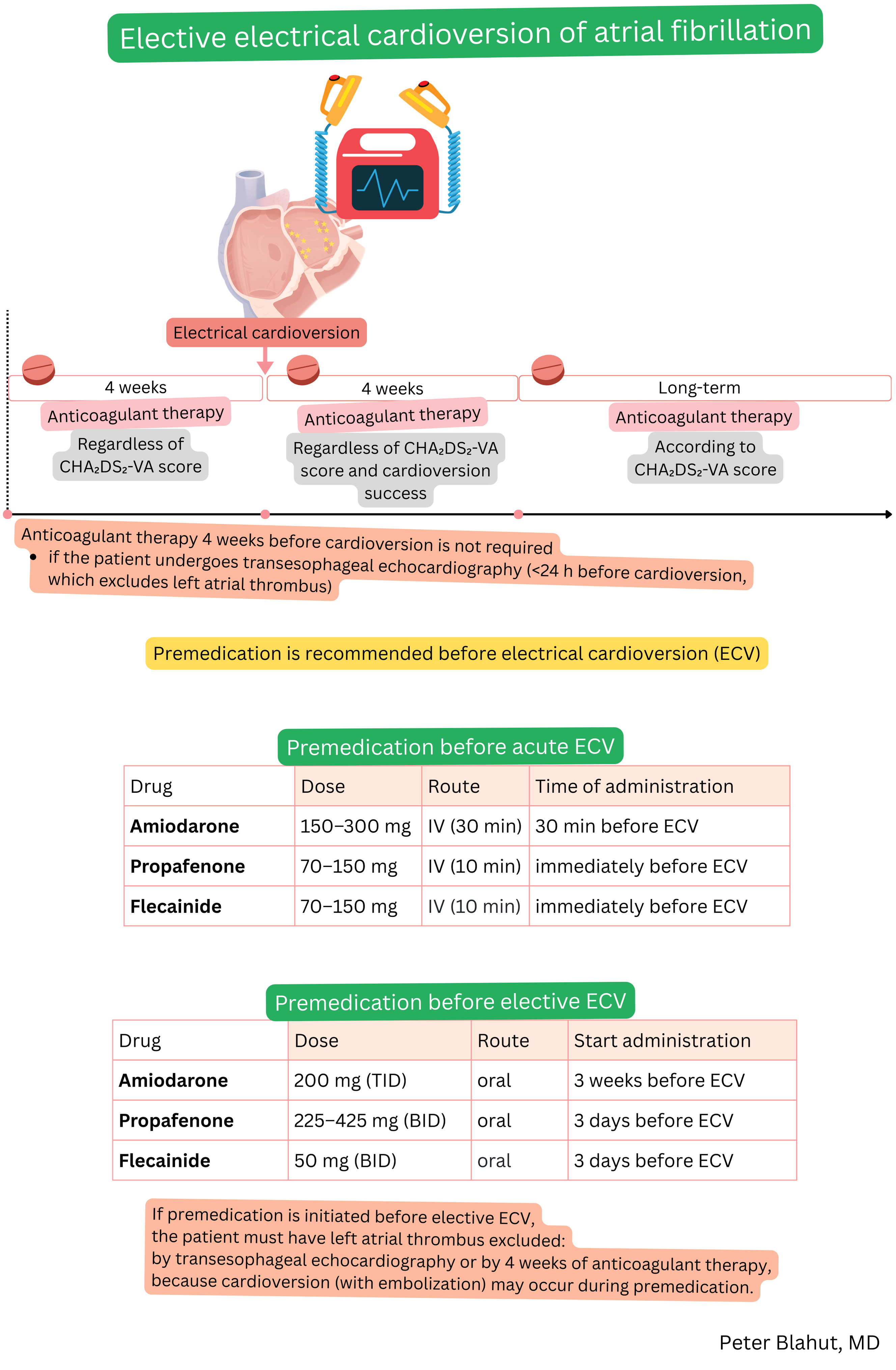 Diagram of elective electrical cardioversion in atrial fibrillation with recommended anticoagulation before and after the procedure and antiarrhythmic premedication.