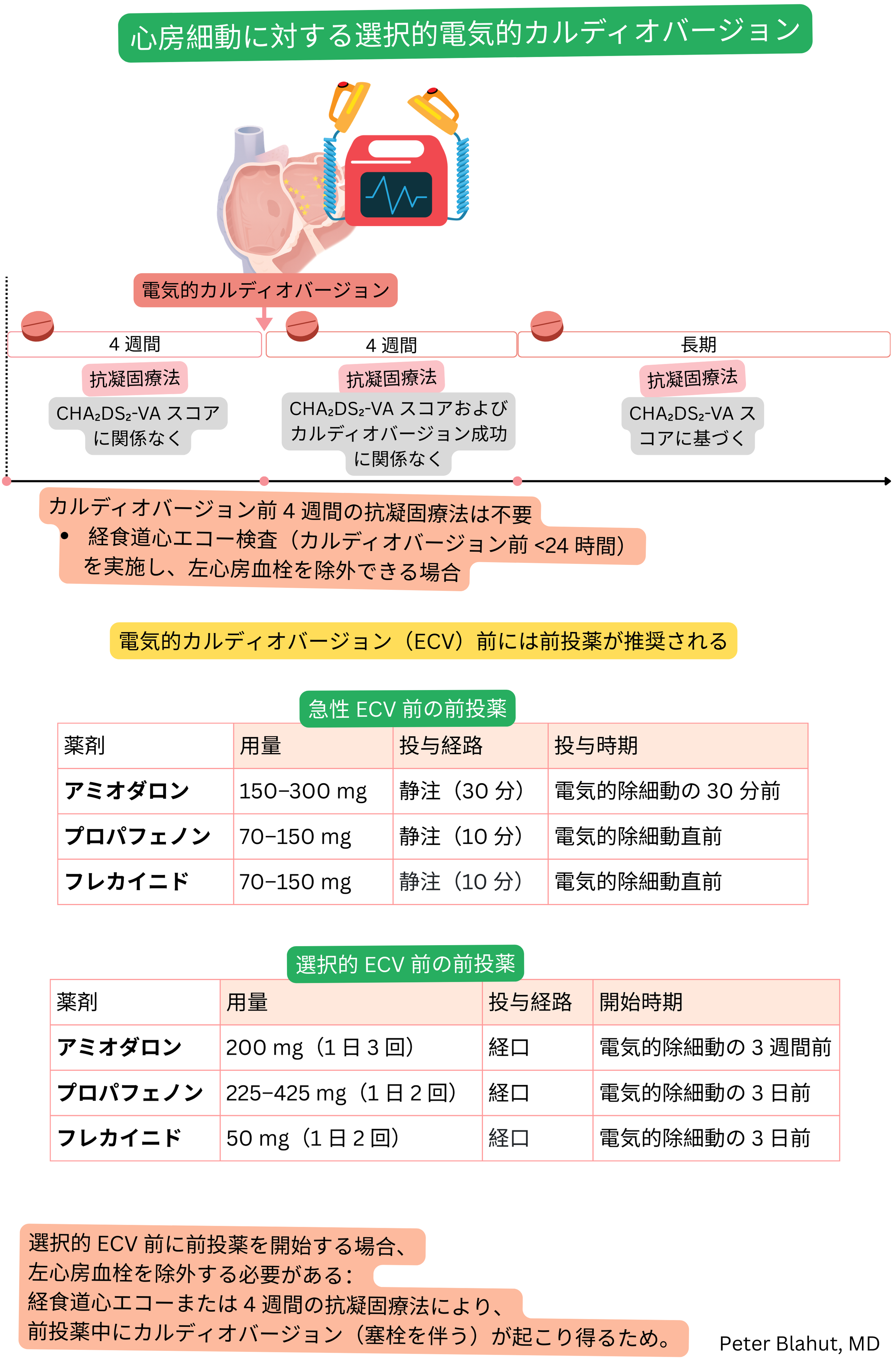 心房細動に対する待機的電気的カルディオバージョンの模式図で、手技前後の推奨抗凝固療法および抗不整脈薬による前投薬を含む。