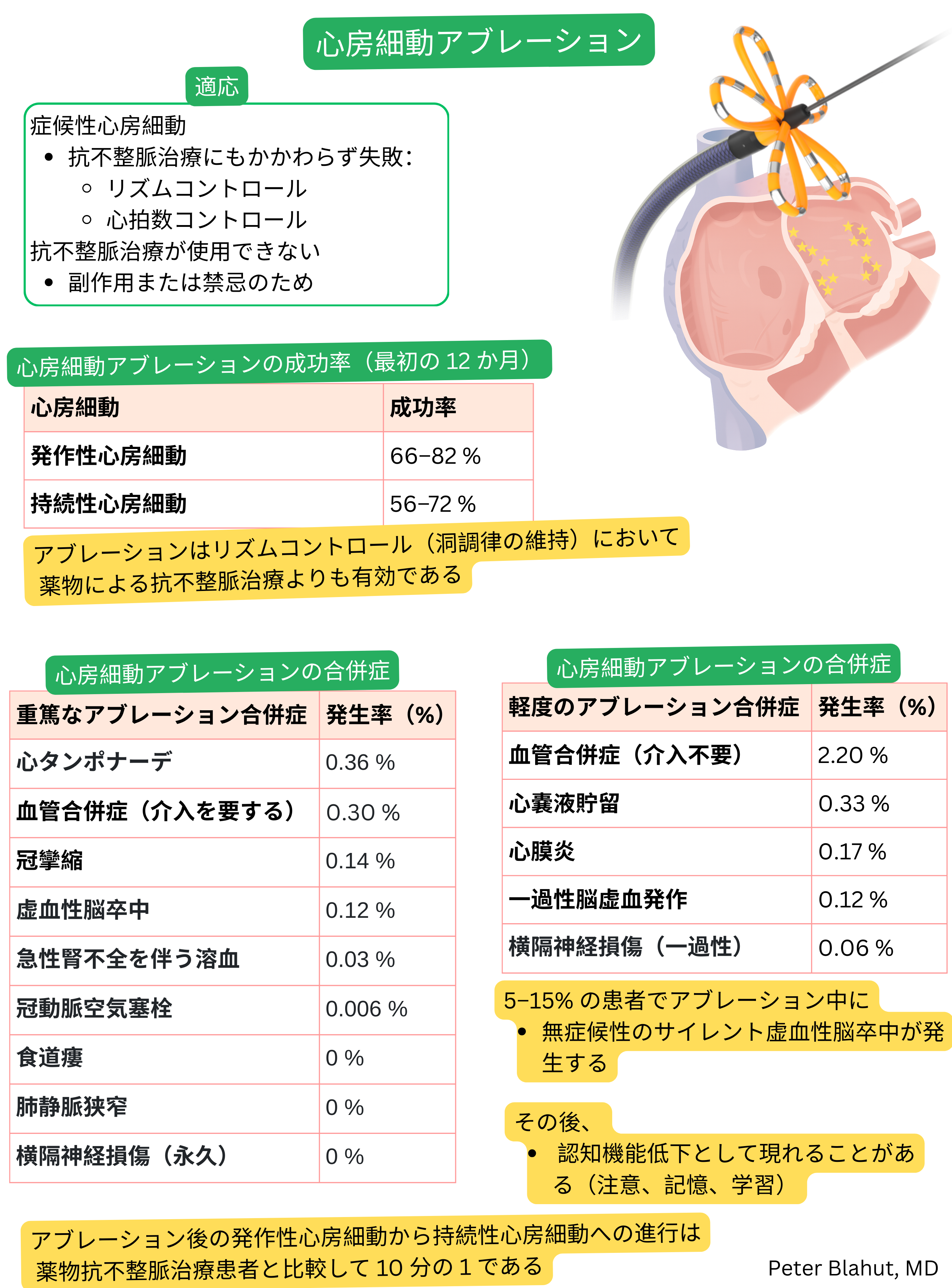 心房細動に対するカテーテルアブレーションの適応、初回12か月の成功率、および重篤・軽度の手技関連合併症とその発生率をまとめた概要。