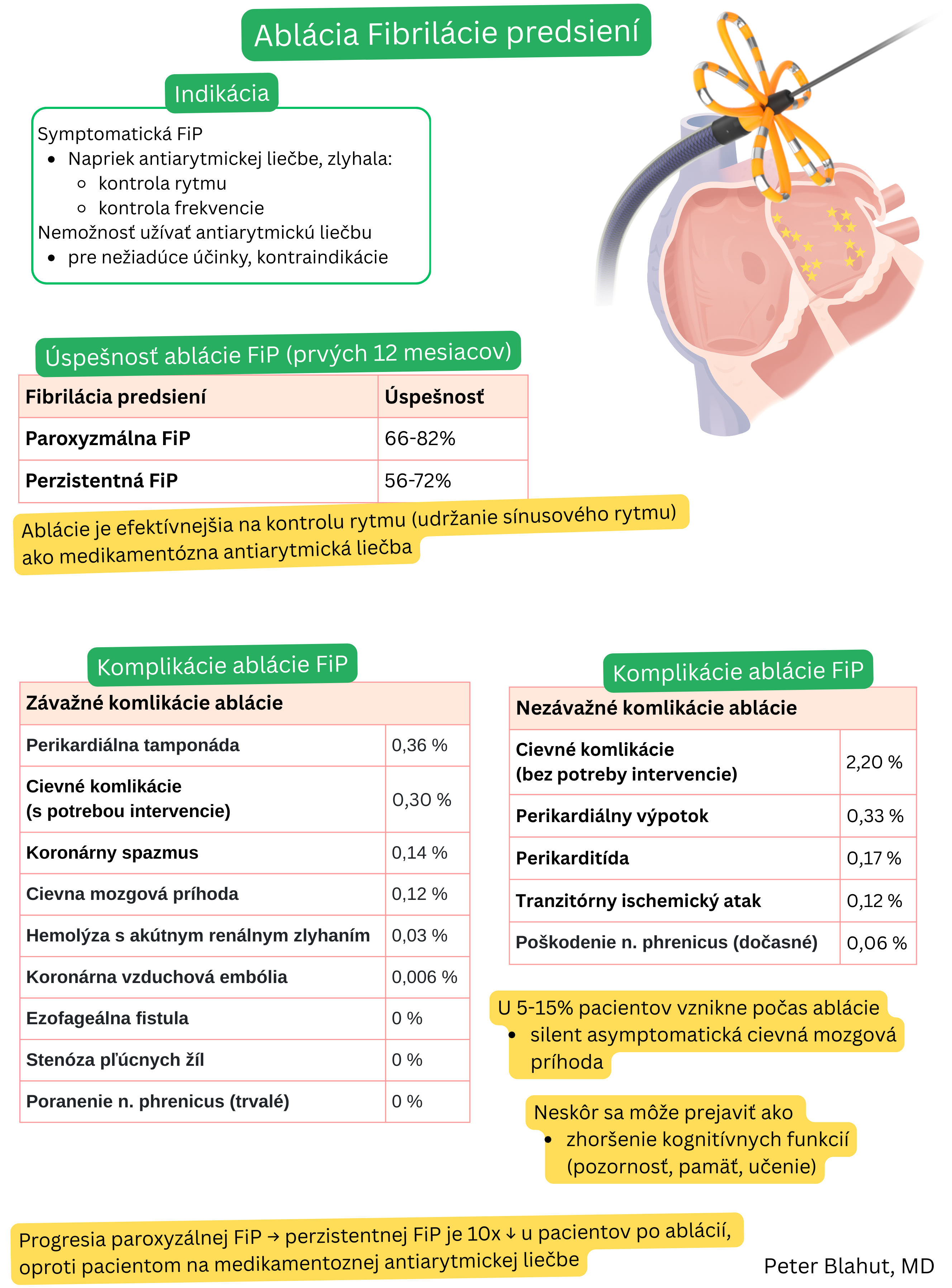 Prehľad indikácií katétrovej ablácie fibrilácie predsiení, úspešnosti počas prvých 12 mesiacov a závažných aj nezávažných komplikácií výkonu s uvedením ich incidencie.