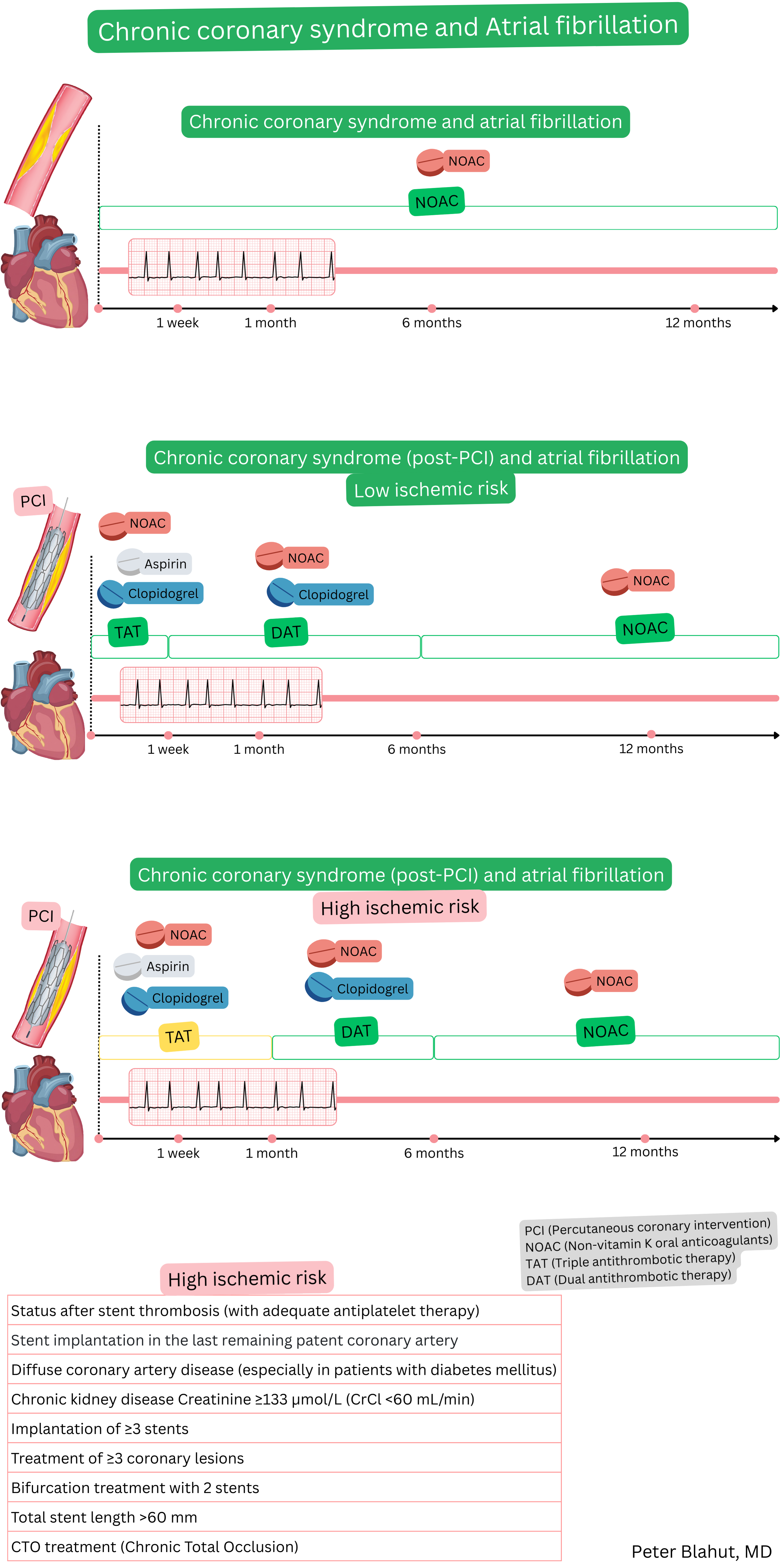 Diagram of antithrombotic therapy in patients with chronic coronary syndrome and atrial fibrillation, including NOAC monotherapy and a post-PCI strategy with TAT, DAT, and subsequent NOAC monotherapy according to ischemic risk over a 12-month period.